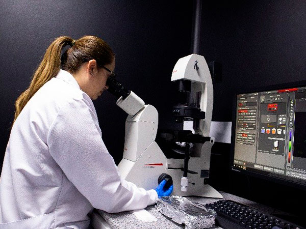 El Centro de Estudio de Enfermedades Autoinmunes (CREA) de la Universidad del Rosario renueva el reconocimiento de MinCiencias como Centro de Investigación