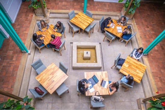 Estudiantes de derecho colaborando en el patio central del claustro.