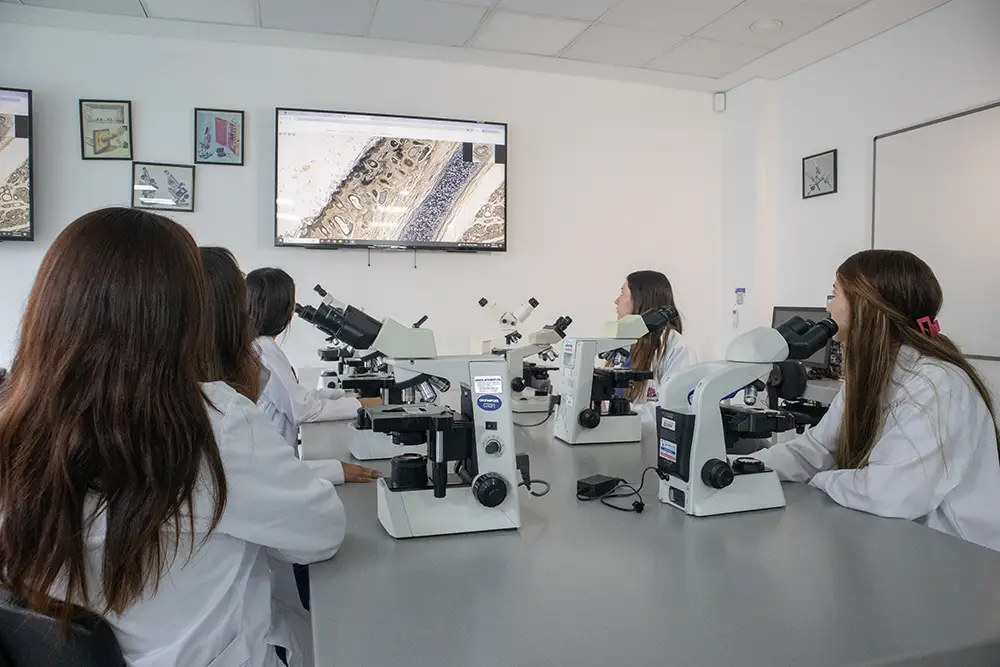Pregrado en medicina de la Universidad del Rosario