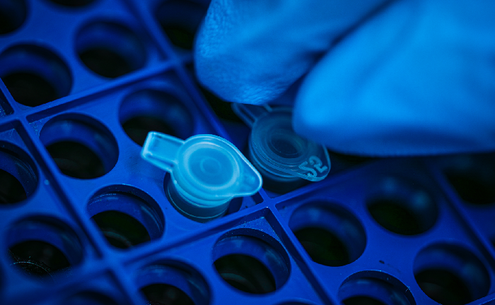 oportunidades-programa-de-biotecnologia