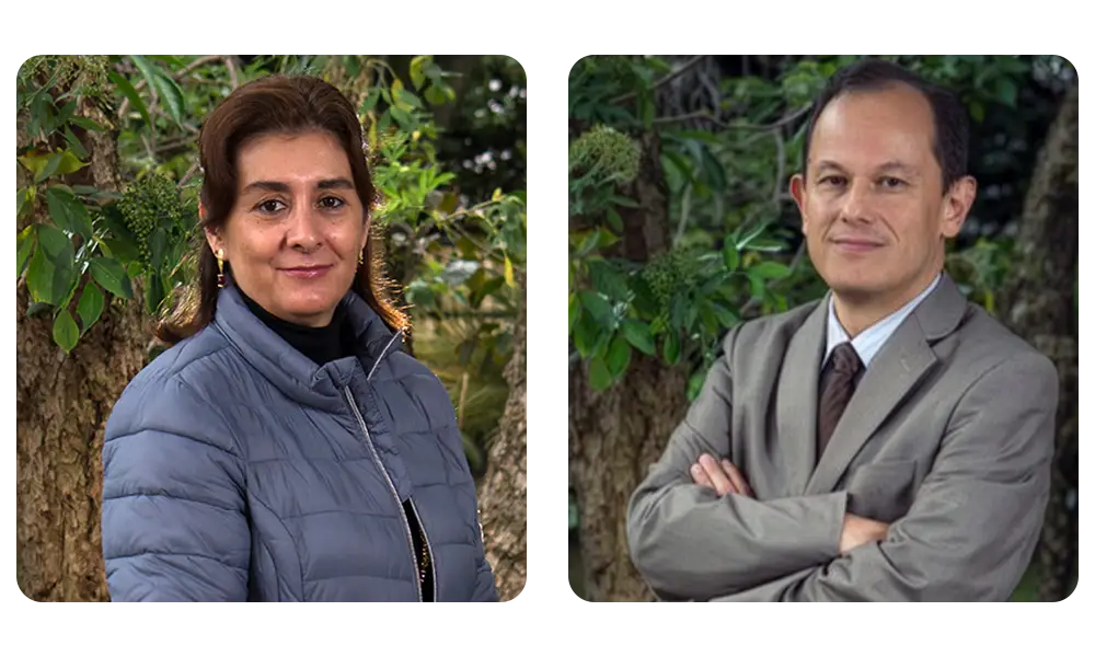 especializacion seguridad salud trabajo directores