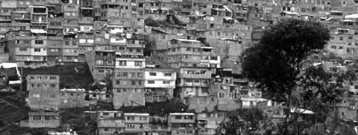 Proyecto codito 2008 2014