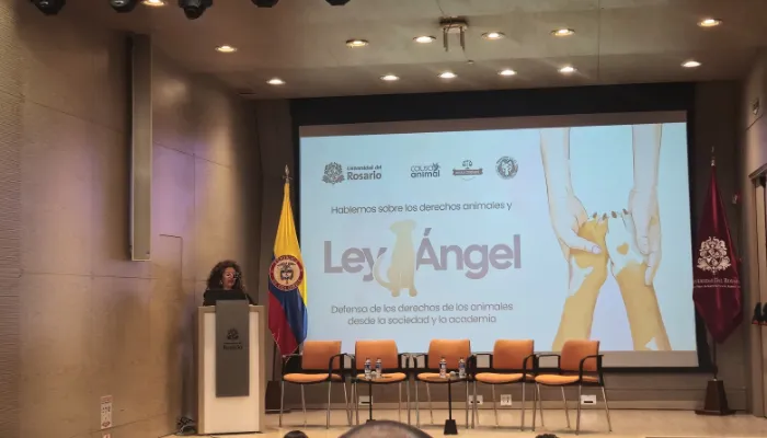 Conversatorio Ley Ángel