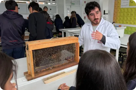 Educación para la acción - programa de polinizadores