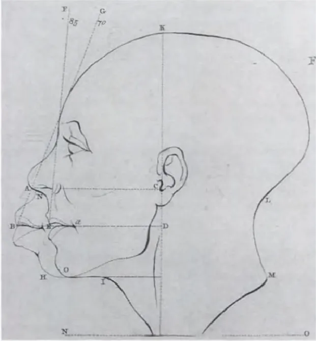 Dibujo de Camper de la metamorfosis entre “blanco” y “negro” y viceversa.