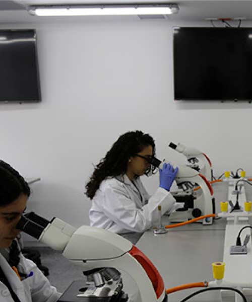 Laboratorio de microbiologia
