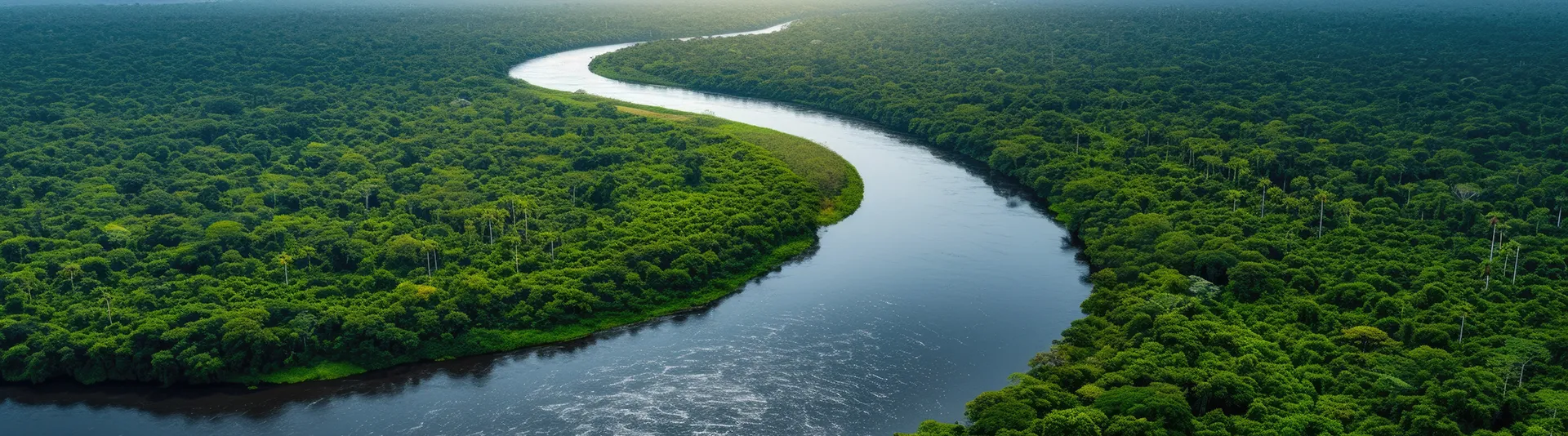Observatorio de la Amazonia - Banner para móviles de sección Quienes somos 