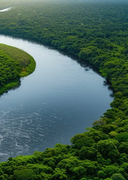 Observatorio de la Amazonia - Banner para escritorio de sección Quienes somos 