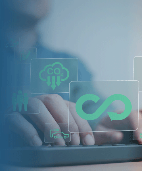 Economía Circular: Aplicación Práctica A La Estrategia Empresarial