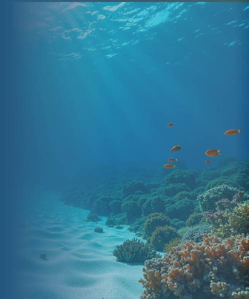 banner--winter-school-oceano-2026