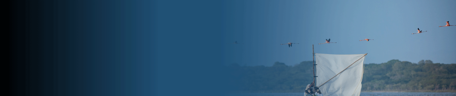 Fotografía intercultural: Segunda edición Guajira