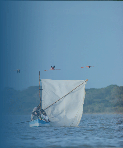 Fotografía intercultural: Segunda edición Guajira