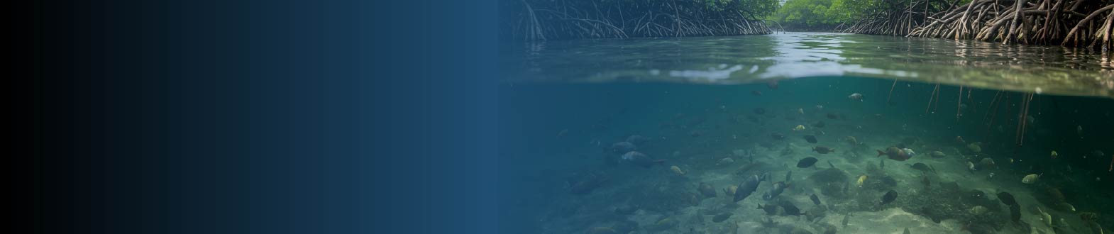 Ecosistemas, Comunidades e Interacciones en el Neotrópico