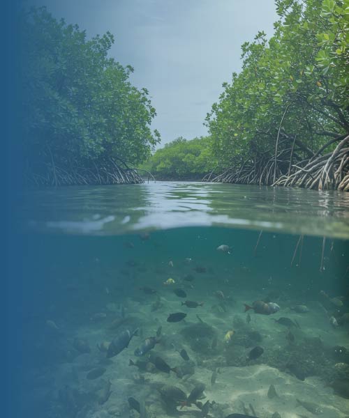 Ecosistemas, Comunidades e Interacciones en el Neotrópico