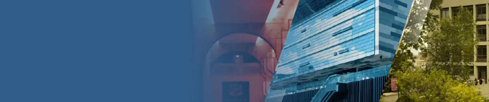 Bogotá Summer School in Economics