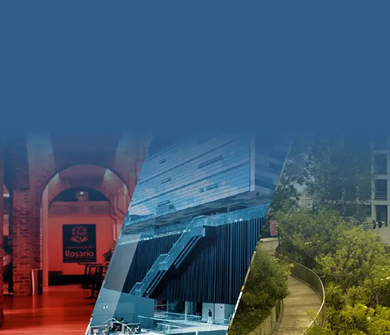 Bogotá Summer School in Economics
