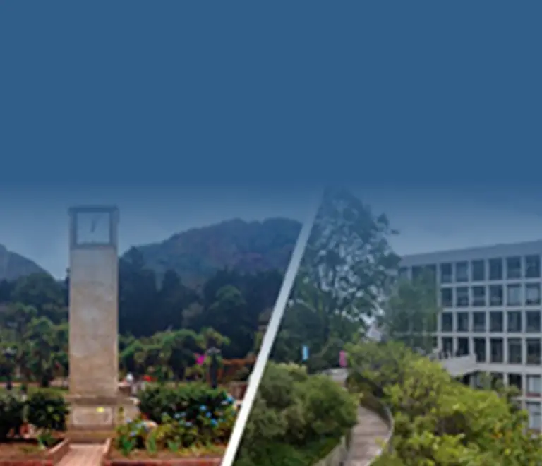 Bogotá Summer School in Economics