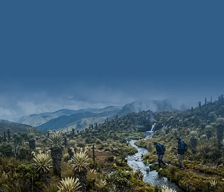 cambio-climatico-impactos-banner-mobile