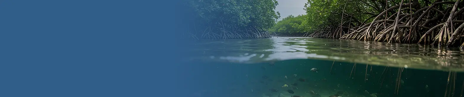 ecosistemas-comunidades-banner-desktop