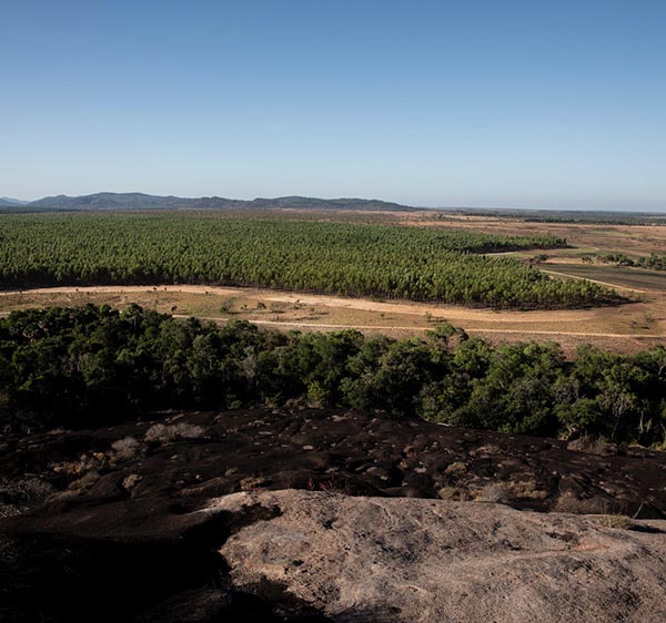 Cerro Dagua. Foto: Juanita Escobar