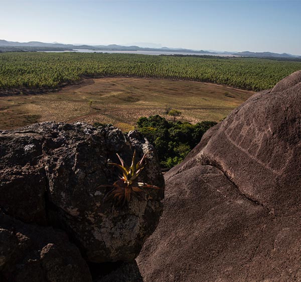 Cerro Dagua  contigua al Río Orinoco