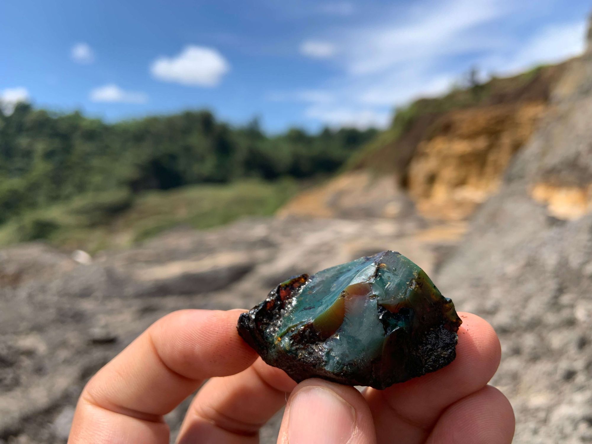 ambar-ecuador-edwin-cadena