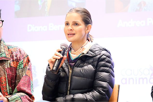 implicaciones-de-la-ley-angel