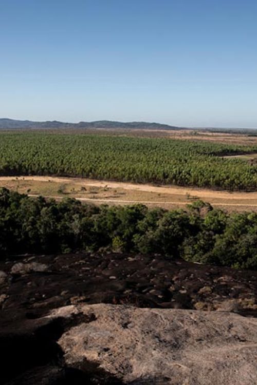 cerro-dagua