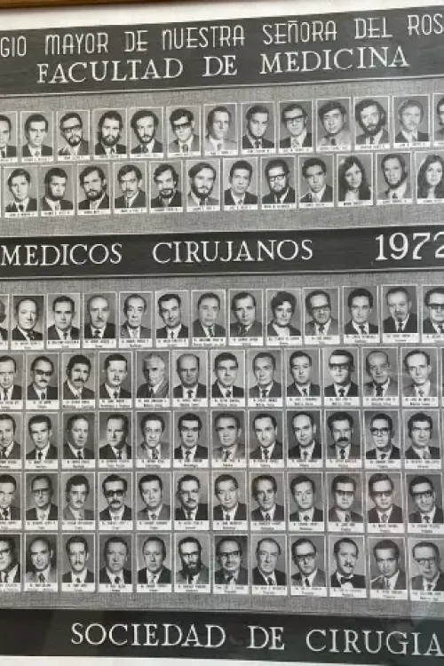Mosaico de la Facultad de Medicina, 1972