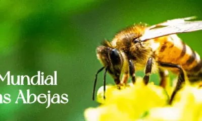 la-crisis-de-los-polinizadores-pone-en-riesgo-la-diversidad-y-la-seguridad-alimentaria