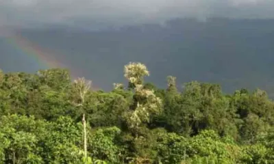 nota-nuestros-investigadores-revelan-nuevas-especies-de-parasitos-en-ecosistemas
