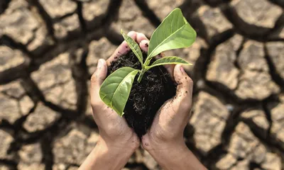 El planeta bajo presión: así avanza el cambio climático