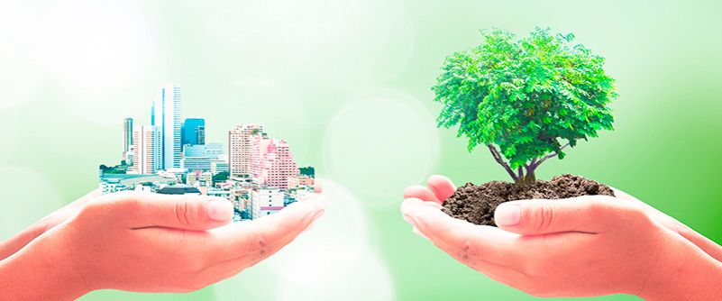 Mención de Honor al profesor Santiago Saavedra Pineda