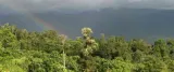 nota-nuestros-investigadores-revelan-nuevas-especies-de-parasitos-en-ecosistemas