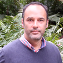 Andrés Link Ospina PhD. 