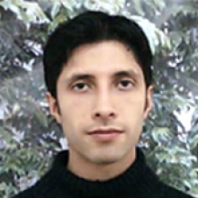 Mauricio Nava, M.D, MSc,PhD. 