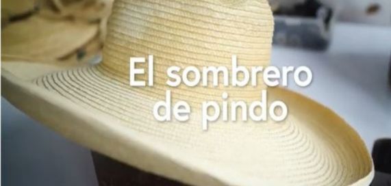 Sombrero de Pindo