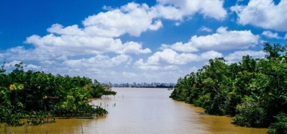 ¿Por qué parece inactivo el Ejército colombiano en el Catatumbo?
