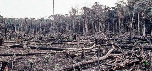 Sparks, Climate Change, and Human Activities