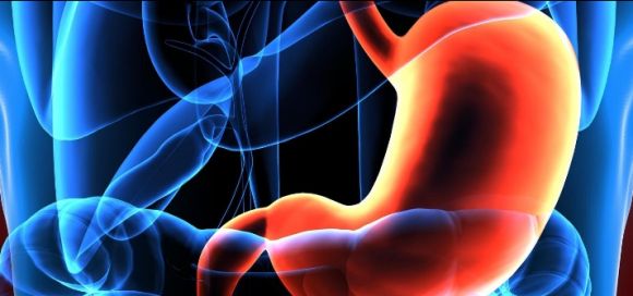 Cáncer gástrico: un asesino silencioso 