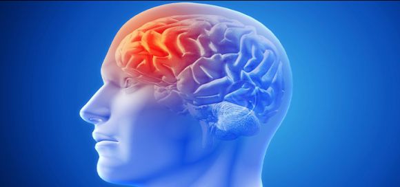 Salud cerebral, la clave para el bienestar y la prevención de enfermedades neurológicas