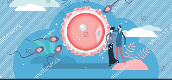 El baby boom de la paz