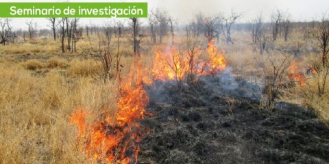  Incendios forestales y su impacto en el sistema tierra