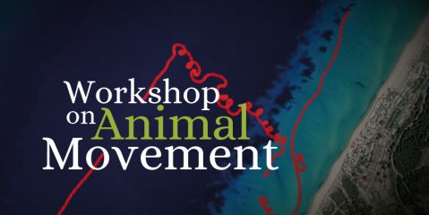 Perspectives in animal movement research