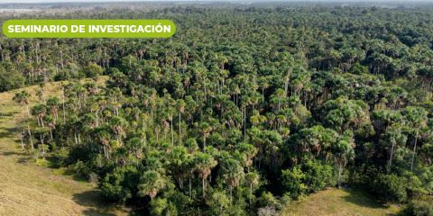 Turberas nueva para la ciencia en la Amazonia y Orinoquia de Colombia