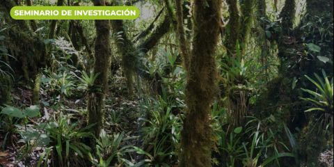 Seminario de Investigación Facultad de Ciencias Naturales - FCN 