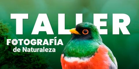 Taller de Fotografía de Naturaleza