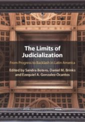 the-limits-of-judicialization-from-progress-to-backlash-in-latin-america_0.jpg