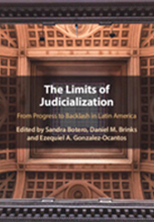 The-limits-of-Judicialization