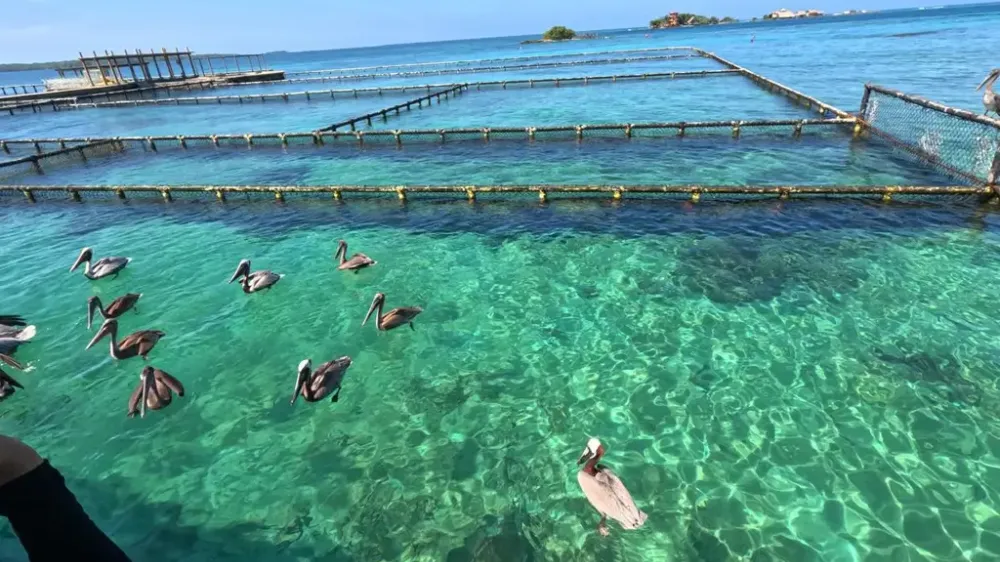 Galeria de experiencias UR winter school